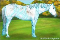 Horse Color:Thunderstruck Bay Onyx Sabino 