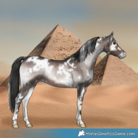 Horse Color:Platinum White Spotted Liver Red Onyx