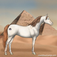 Horse Color:White Spotted Sable Champagne Pearl Dun 