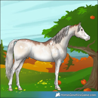 Horse Color:White Spotted Silver Brown Pearl Onyx Sabino 