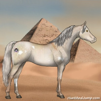Horse Color:White Spotted Silver Brown Pearl Dun 
