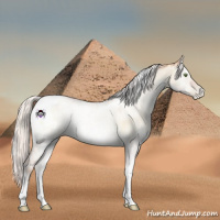 Horse Color:White Spotted Silver Sable Champagne Pearl Onyx Tobiano 