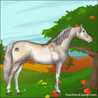 Horse Color:White Spotted Silver Brown Pearl Onyx Sabino