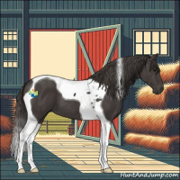 Horse Color:Smoky Black Tobiano 
