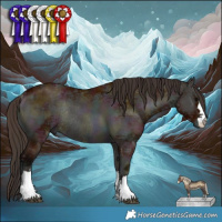 Horse Color:Midnight Bay Ice Onyx Rabicano 