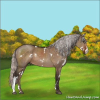 Horse Color:White Spotted Silver Brown Dun