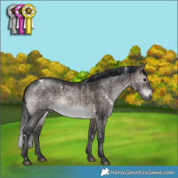 Horse Color:Platinum White Spotted Brown Dun Brindle