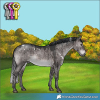Horse Color:Platinum White Spotted Brown Dun Brindle 