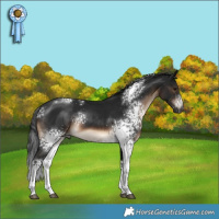 Horse Color:Gray White Spotted Brown Mushroom Sabino
