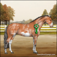 Horse Color:White Spotted Bay Sabino Frame 