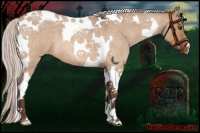 Horse Color:Silver Bay Roan Dun Tobiano 