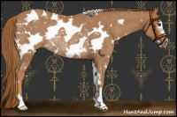 Horse Color:White Spotted Chestnut Frame Rabicano 