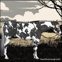 Horse Color:Black Splash Tobiano 