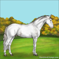 Horse Color:White Spotted Silver Grullo Mushroom