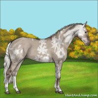 Horse Color:White Spotted Liver Red Dun Ice Mushroom Sabino 
