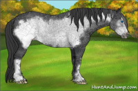 Horse Color:Black Mushroom Frame 