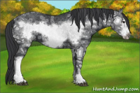 Horse Color:Black Ice Mushroom Frame