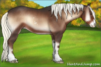 Horse Color:Liver Red Onyx Mushroom Sabino