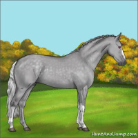 Horse Color:Silver Smoky Grullo Chinchilla 