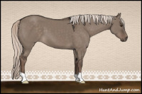 Horse Color:Liver Red Dun Mushroom 