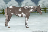 Horse Color:White Spotted Silver Black Tobiano Frame 