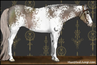 Horse Color:White Spotted Silver Black Rabicano