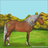 Horse Color:Silver Bay 