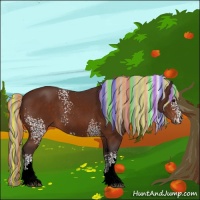 Horse Color:Painted White Spotted Silver Bay 