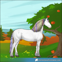 Horse Color:Painted White Spotted Silver Brown Chinchilla Sabino Appaloosa 