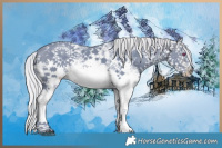 Horse Color:Watercolor White Spotted Silver Brown Chinchilla Sabino 