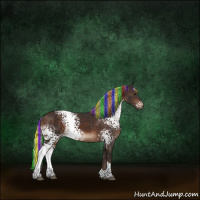 Horse Color:Painted White Spotted Silver Brown Tobiano Rabicano 