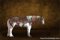 Horse Color:Painted White Spotted Silver Brown 