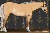 Horse Color:Silver Buckskin Roan Dun Rabicano 