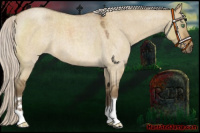 Horse Color:Silver Buckskin Roan Dun 