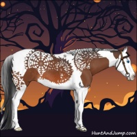 Horse Color:Brown Splash Tobiano 