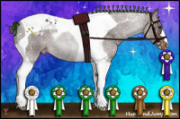 Horse Color:Liver Chestnut Tobiano Snowcap 