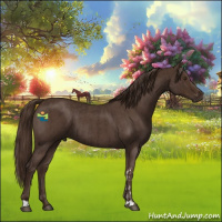 Horse Color:Liver Chestnut and Liver Red Roan