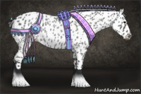 Horse Color:Blue Roan Appaloosa 