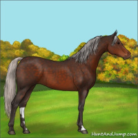 Horse Color:Silver Brown 