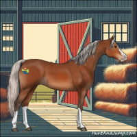 Horse Color:Silver Bay Splash Tobiano 
