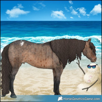 Horse Color:Brown Dun Appaloosa Brindle 
