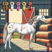 Horse Color:Chestnut Near Leopard  and Red Dun Varnish 