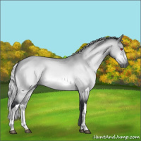 Horse Color:Silver Brown Chinchilla Dun 
