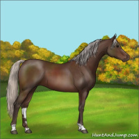 Horse Color:Silver Brown 