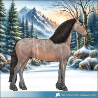 Horse Color:Bay Ice