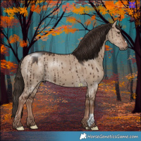 Horse Color:Liver Red Dun Brindle 