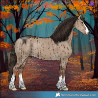 Horse Color:Liver Red Dun Brindle 