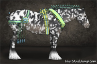 Horse Color:Black Near Leopard 