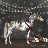 Horse Color:White Spotted Liver Chestnut Varnish 