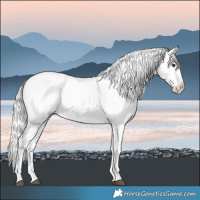 Horse Color:White Spotted Silver Bay Dun Tobiano Appaloosa 